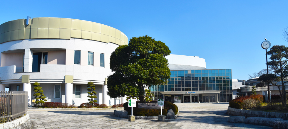 石畳と樹木に囲まれたフリースペース